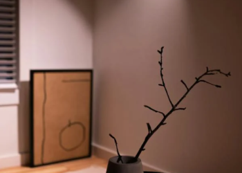 Bold and Beautiful: Exploring Statement Wall Ideas for Every Room