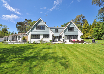 Bold and Beautiful: Exploring Statement Wall Ideas for Every Room